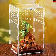  Spinnen Terrarium, Reptile