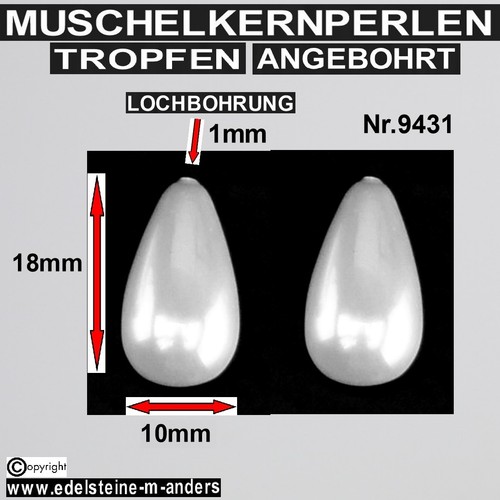 Weisse shell muschel kern - weisse,