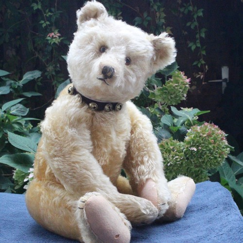 Antiker steiff teddy bär - antiker,