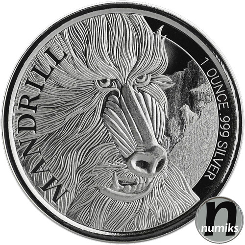 Mandrill kamerun 2020 1 - kamerun,