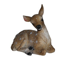 Reh Kitz Rehkitz Hirsch Kind