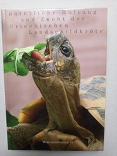 Wolfgang Wegehaupt - Natürliche Haltung u. Zucht d. Griechischen Landschildkröte