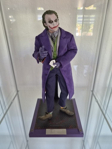 Hot toys the joker dx11 - the,