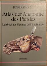 Atlas der Anatomie des Pferdes