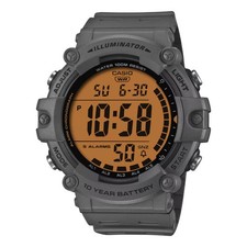 Casio Casio Collection Grau