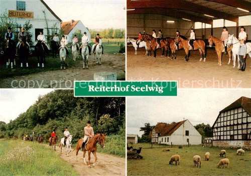 Clenze reiterhof seelwig - reiterhof,
