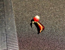 EISANGELN.MORMYSCHKA ICE