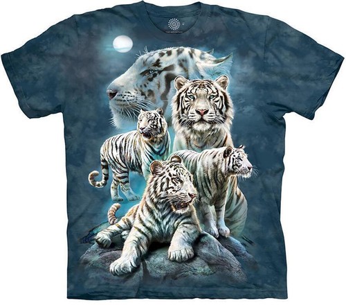 The mountain shirt night - the,