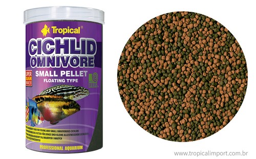 Tropical cichlid fish - fish, food