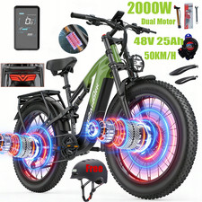 Dual Motor 2000W