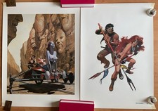 Storm - und Rothaar -