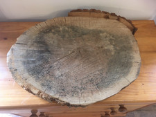 Eichenholz Baumstamm Abschnitt