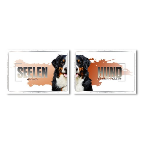 Berner sennenhund seelenhund - berner,