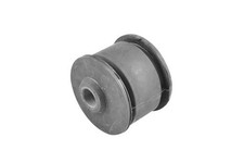 Lagerung Lenker Hinterachse