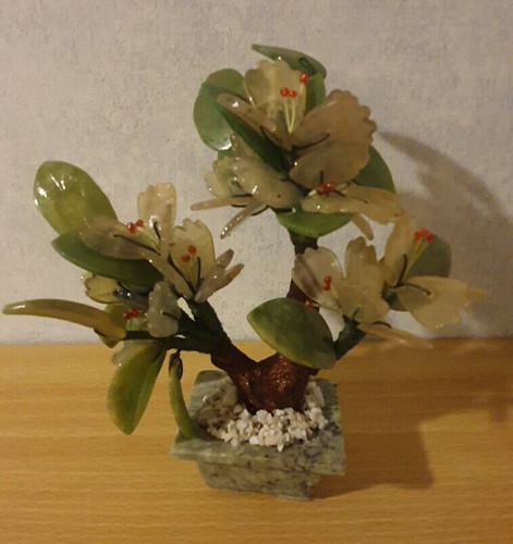 Jadebaum edelsteinbaum - jadebaum,,