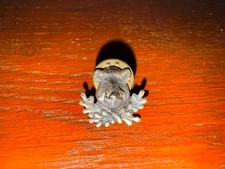 Anstecknadel | Pin |