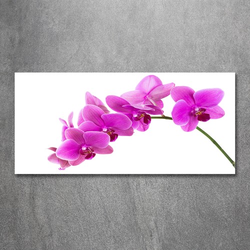 Glas bild wandbilder druck - wandbilder, auf