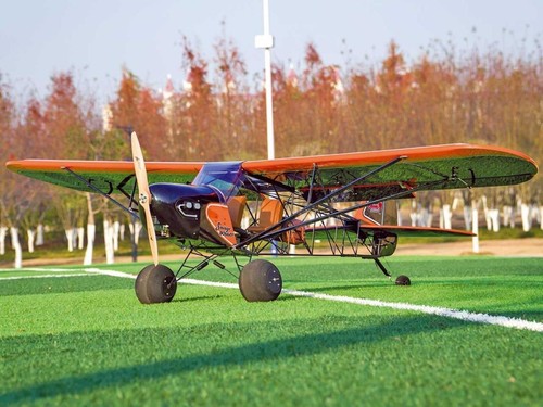 Pichler arf flugmodell savage - flugmodell,