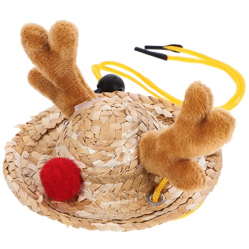 Hamster-fotorequisite