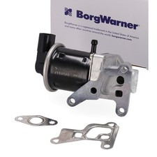 BORGWARNER AGR Ventil +