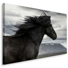 CANVAS Leinwand Bilder XXL