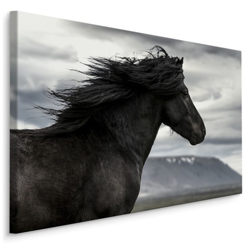Canvas leinwand bilder - canvas,