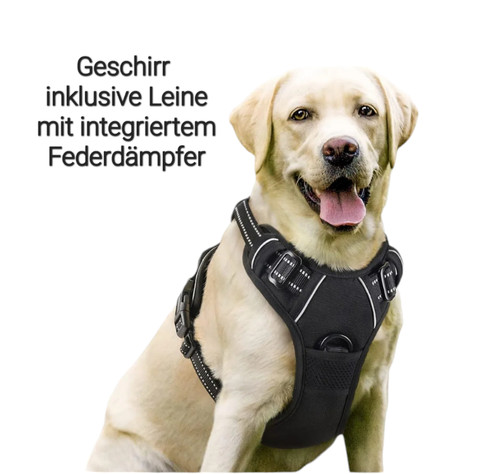 Hundegeschirr inkl leine - inkl.,