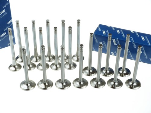 Trw 10x einlassventil - trw,