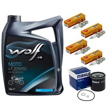 Set Motorservice 4L Öl