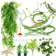 Hängepflanze Terrarium