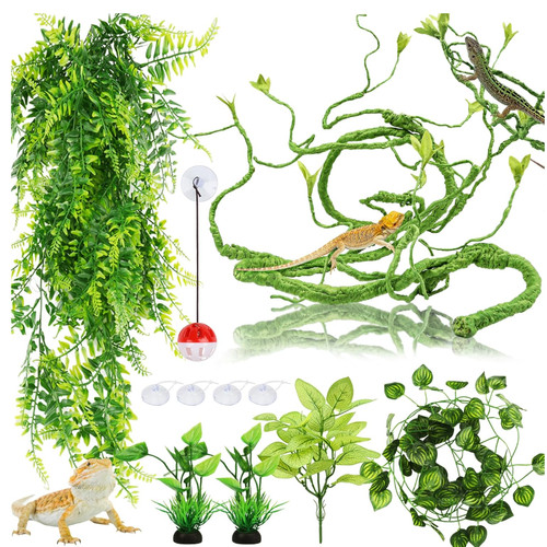 Hängepflanze terrarium - hängepflanze,