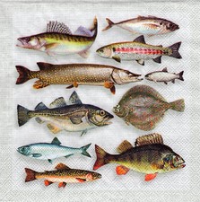 3 Servietten ~ Maritim, Viel verschiedene Fische, Zoologi ~ 33x33
