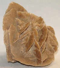 Sehr schöne Sandrose (Gipsrose)/Wüstenrose – ca.: 1890 g. – aus alter Sammlung