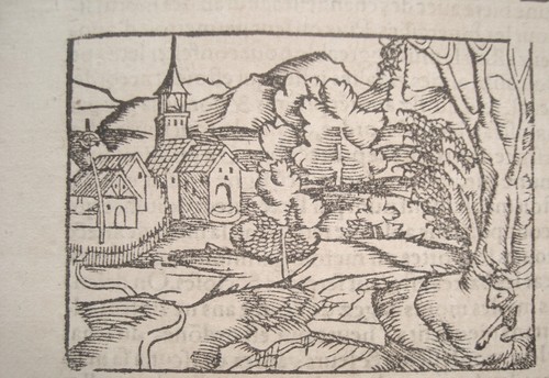 Kloster ellwangen basilika - kloster,