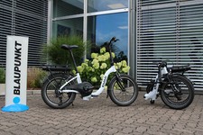 Blaupunkt Emmi® 20"  Klapp E-Bike,Cremeweiß,Tiefeinstieg 26cm, Ausstellundsstück