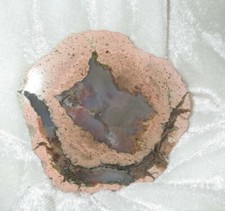 Achat ~~ Sternachat ~~