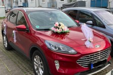 Braut Auto Schmuck Bärchen Brautpaar Autogirlande und 4 Türschleifen