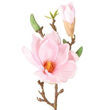 Magnolienzweig Deko mit