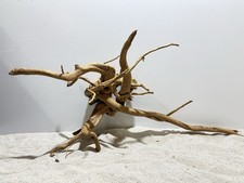 rote Moorwurzel Redwood