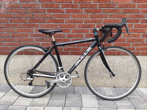 Kleines 47cm bulls vuelta - bulls,
