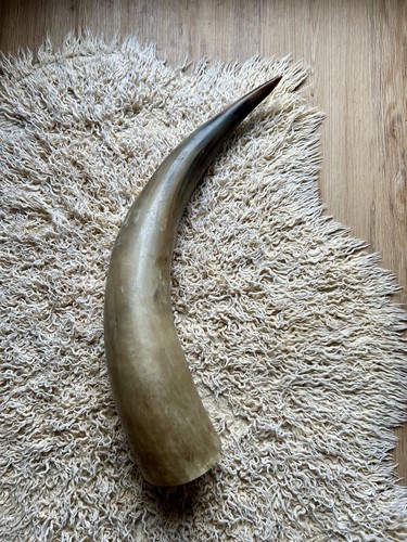 Xxl trinkhorn länge - trinkhorn, 64