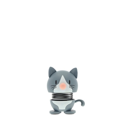 Hoptimist american shorthair - -,