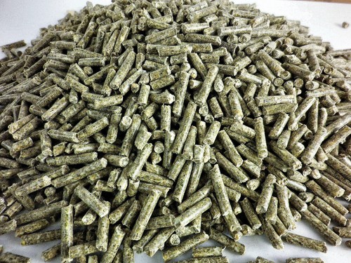 Kaninchenfutter hasenfutter - kaninchenfutter,