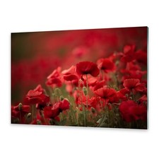 Acrylglasbilder Wandbild aus