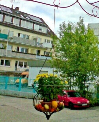Vintage blumenampel - vintage,