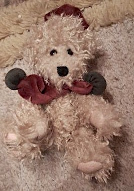 Bukowski design teddybär - bukowski,