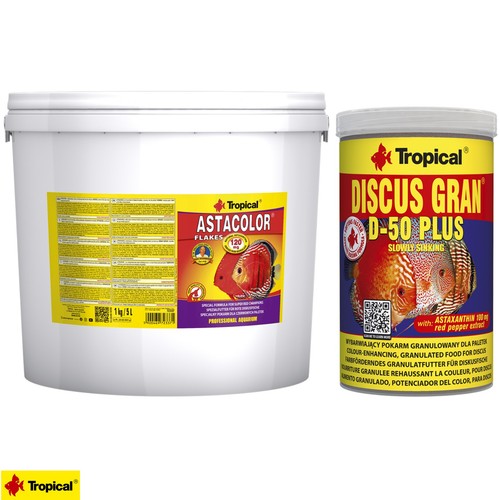 Tropical astacolor discus - tropical, +