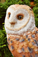 ❀ Schleiereule 23cm Eule auf