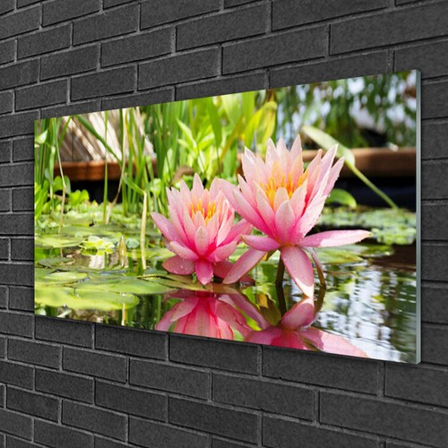 Glasbilder 100x50 wandbild - glasbilder,