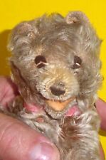 Sehr Alter Steiff Bär Zotty ? liegend von meiner Oma Sammelwürdig
